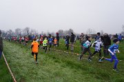 DSC00532 DSC00532